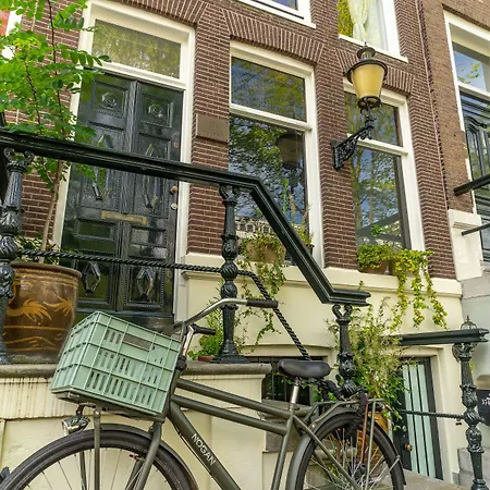 Singel