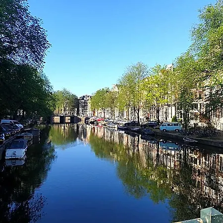 Singel