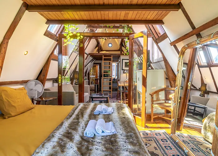 Bed and breakfast Singel