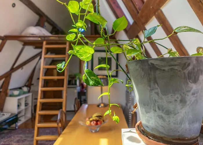 Singel Bed & Breakfast 4*