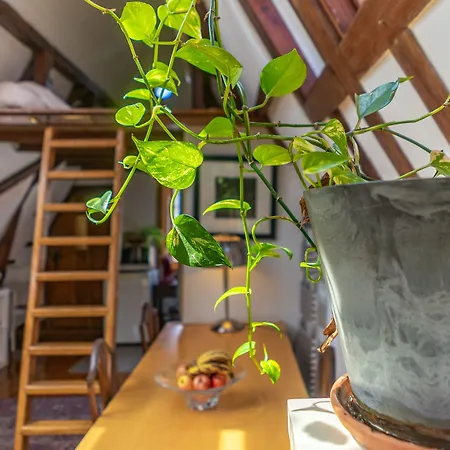 Singel Bed and Breakfast